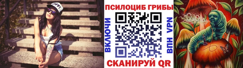Галлюциногенные грибы MAGIC MUSHROOMS  OMG ССЫЛКА  Чишмы  как найти  
